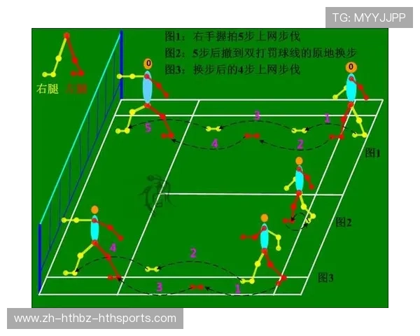 羽毛球横线几条